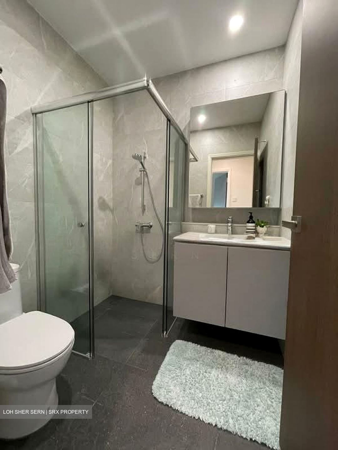 The Equatorial (D10), Condominium #557943221